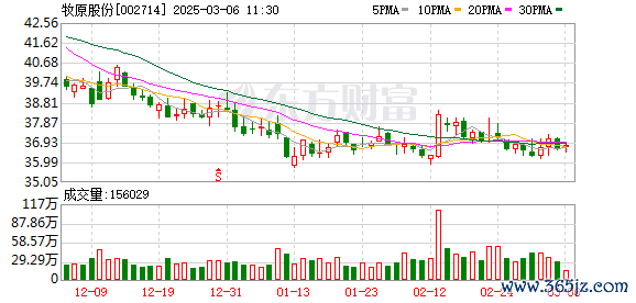 线上股票配资合法吗 “养猪一哥”大幅扭亏为盈 猪企业绩及经营数据亮了