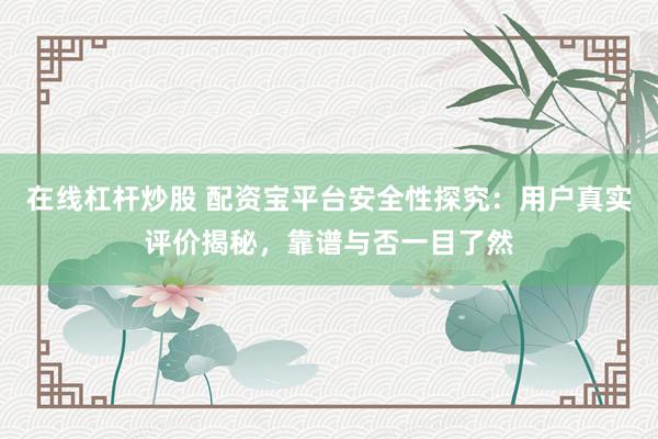 在线杠杆炒股 配资宝平台安全性探究：用户真实评价揭秘，靠谱与否一目了然