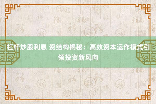 杠杆炒股利息 资结构揭秘：高效资本运作模式引领投资新风向