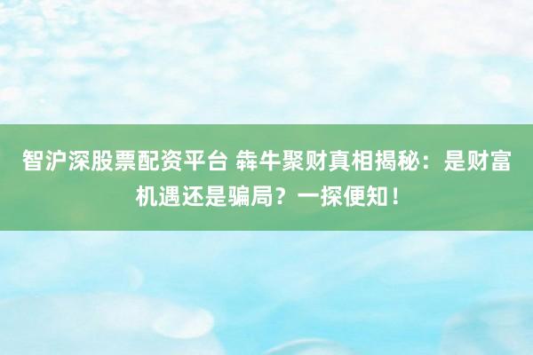 智沪深股票配资平台 犇牛聚财真相揭秘：是财富机遇还是骗局？一探便知！