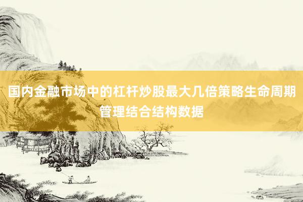 国内金融市场中的杠杆炒股最大几倍策略生命周期管理结合结构数据