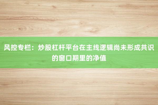 风控专栏：炒股杠杆平台在主线逻辑尚未形成共识的窗口期里的净值